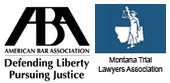Professional member badges